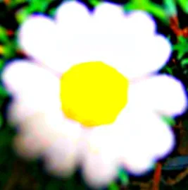 types of alternative medicine 01
